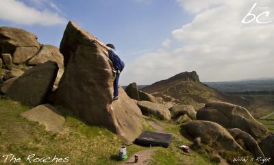 AndrÃ© in "Wildy's Right"